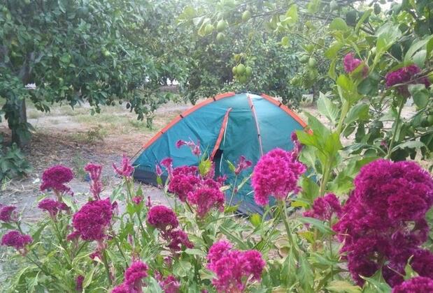 Jumanji Concept - Görsel 9