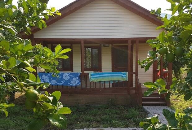 Jumanji Concept - Görsel 10