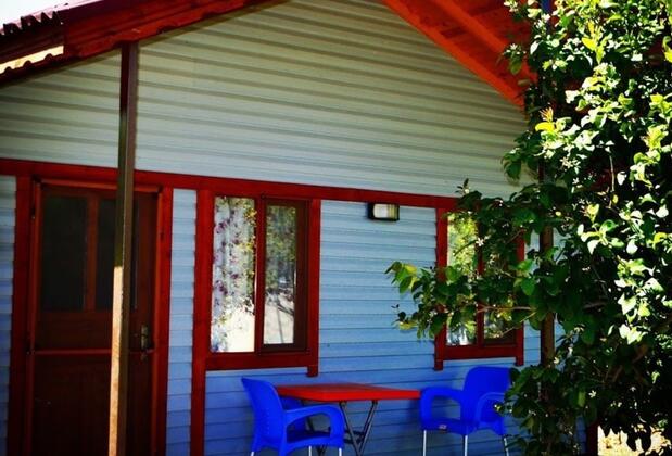 Jumanji Concept - Görsel 13