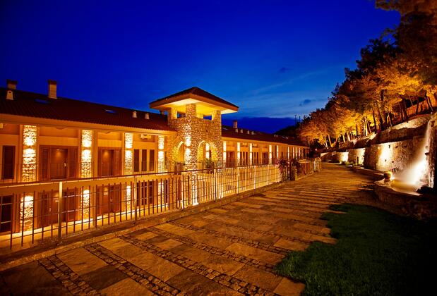 Martı Hemithea - Görsel 2