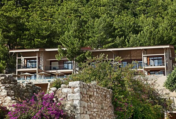 Martı Hemithea - Görsel 3