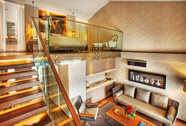 Martı Hemithea - Görsel 6