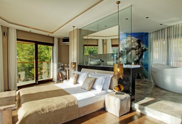 Martı Hemithea - Görsel 19