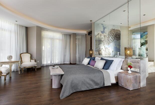 Martı Hemithea - Görsel 15