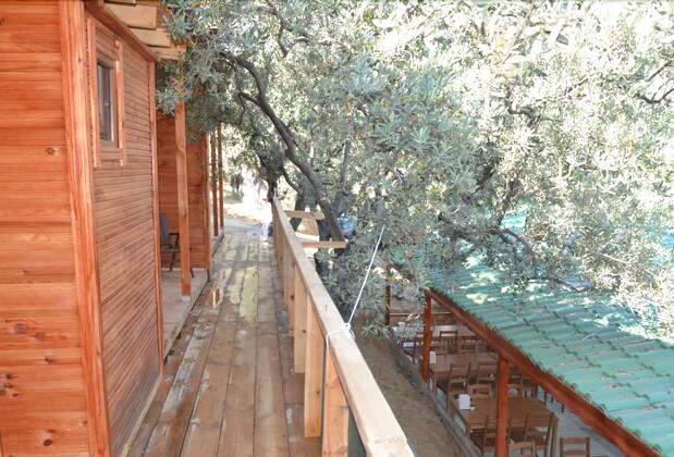 Bungolive Pansiyon - Görsel 3