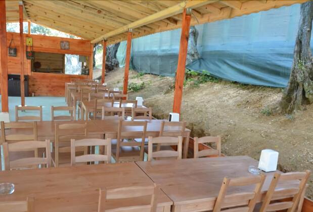 Bungolive Pansiyon - Görsel 6