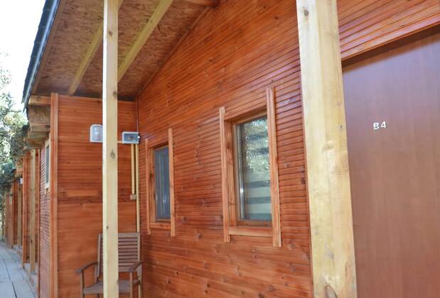 Bungolive Pansiyon - Görsel 7