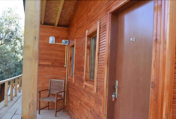 Bungolive Pansiyon - Görsel 5