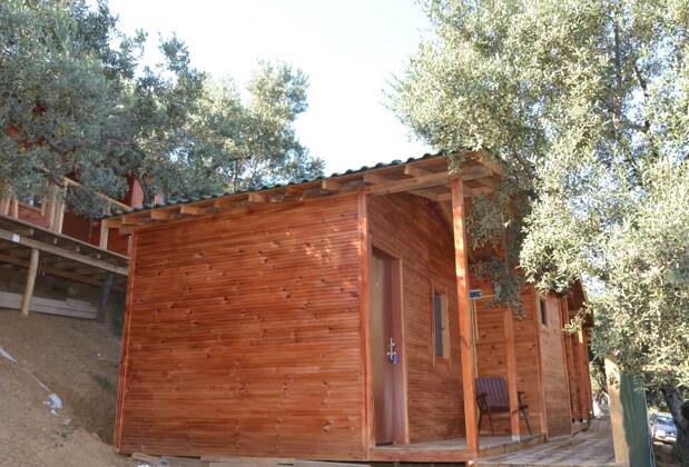 Bungolive Pansiyon - Görsel 4