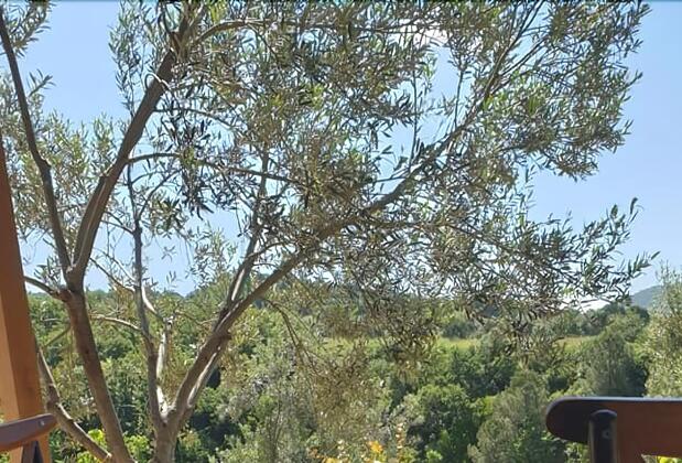 Şelale Stone House Boutique Hotel - Görsel 3