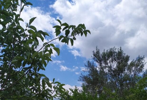 Şelale Stone House Boutique Hotel - Görsel 14