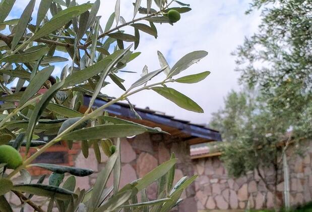 Şelale Stone House Boutique Hotel - Görsel 20