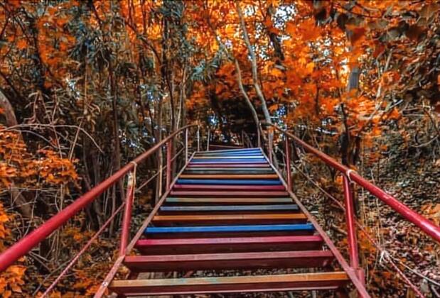 Şelale Stone House Boutique Hotel - Görsel 22