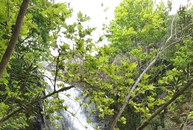 Şelale Stone House Boutique Hotel - Görsel 9