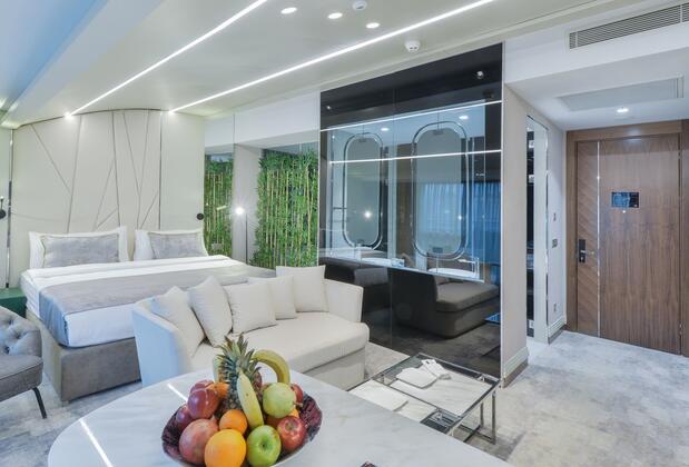 Ankara Alegria Business Hotel - Görsel 7