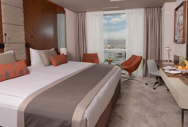 Ankara Alegria Business Hotel - Görsel 9