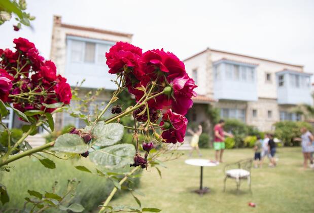 Dört Mevsim Alaçatı - Görsel 5