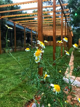 Çeşme Ekolojik Tatil Köyü - Görsel 11