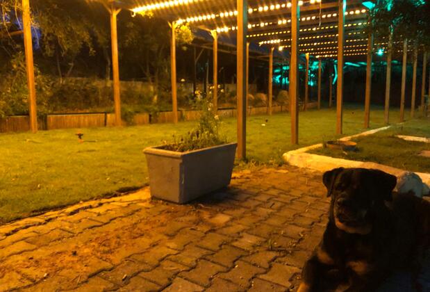 Çeşme Ekolojik Tatil Köyü - Görsel 19