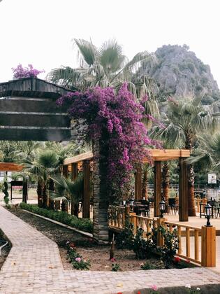 Çıralı Garden Pansiyon - Görsel 23