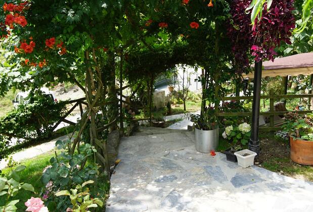 Castle Noala - Görsel 4