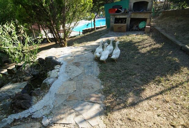 Castle Noala - Görsel 12