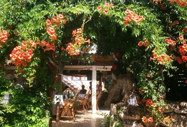 Mine Pansiyon - Görsel 6