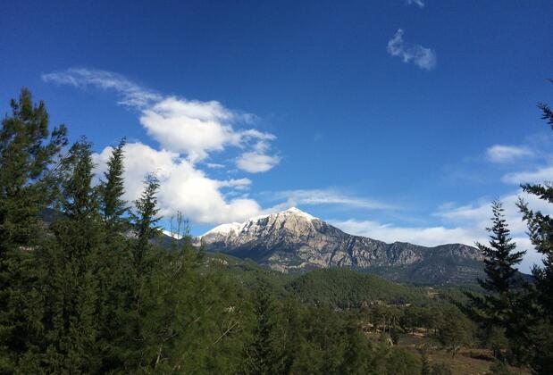 Yıldız Pension Bungalows - Görsel 7