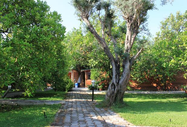 Yıldız Pension Bungalows - Görsel 11