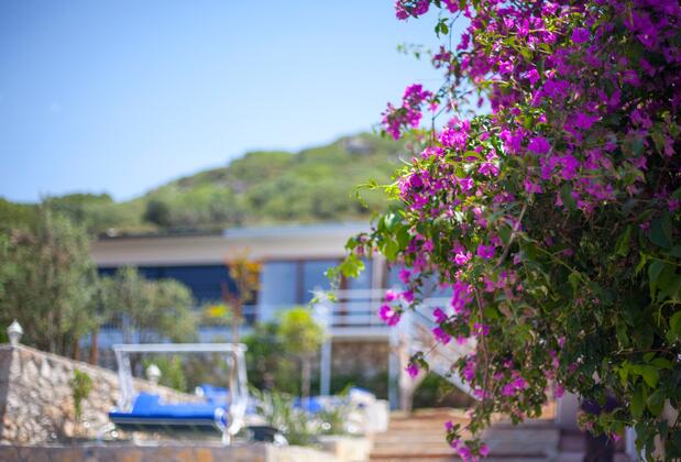 Peace Butik Hotel - Görsel 13