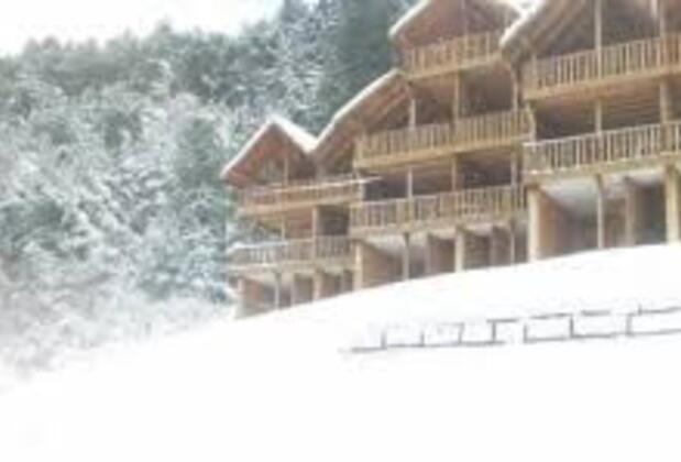 Ağaç Otel - Görsel 6