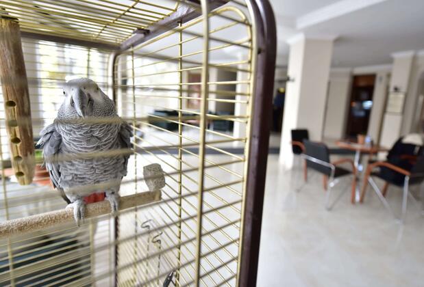 Hotel Topkapı - Görsel 13