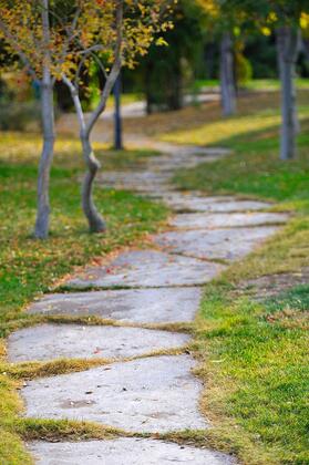 Ağaçlı Otel - Görsel 3