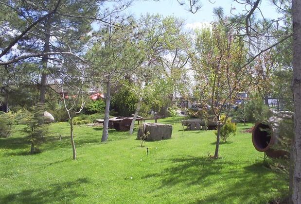 Ağaçlı Otel - Görsel 4