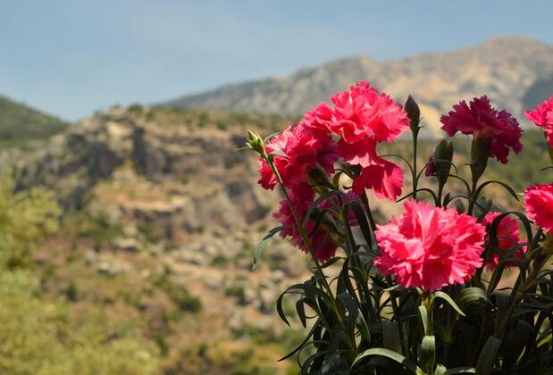 Faralya Misafir Evi - Görsel 24