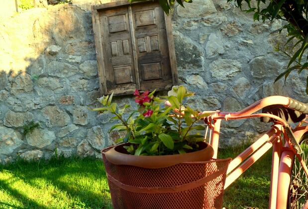 Faralya Misafir Evi - Görsel 41