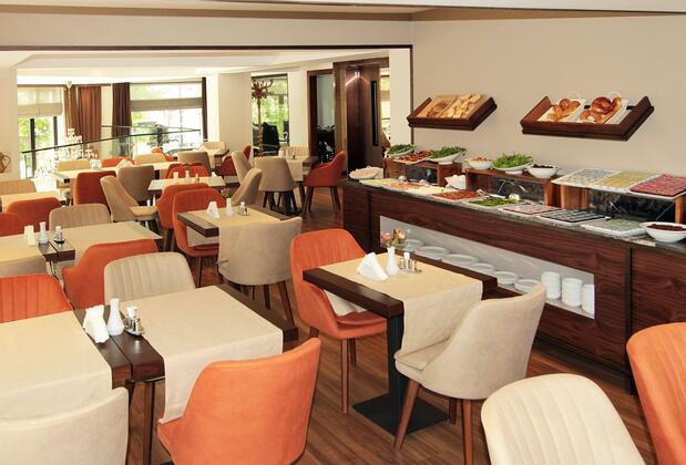 Pisa Hotel - Görsel 28