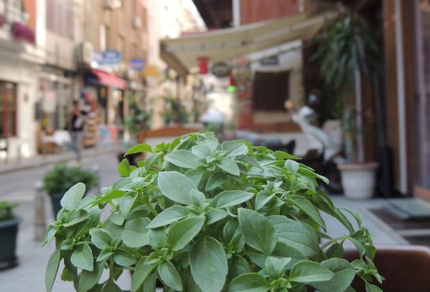 Galata İstanbul Hotel - Görsel 4