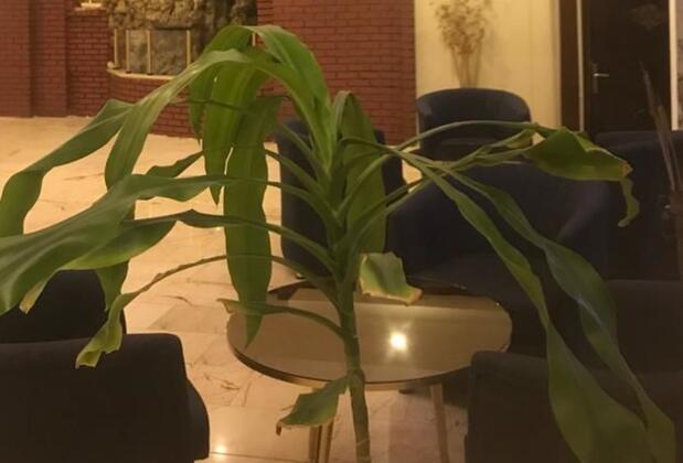 The Bosfor Hotel - Görsel 10