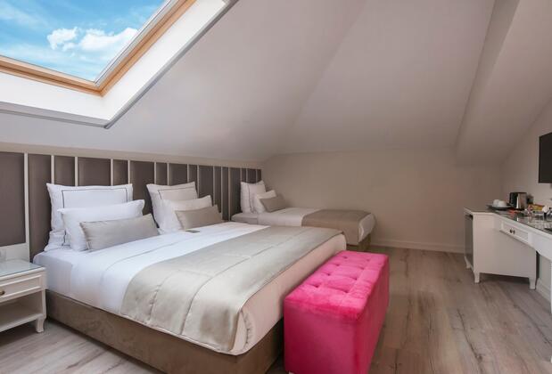 Le Petit Palace Hotel - Görsel 9