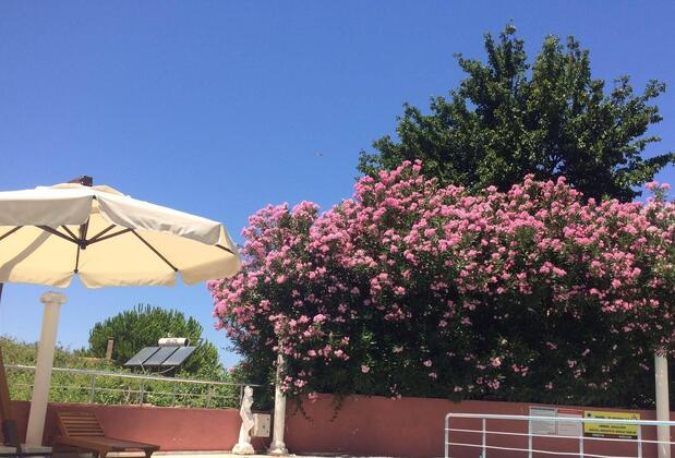 Selina Hotel - Görsel 10