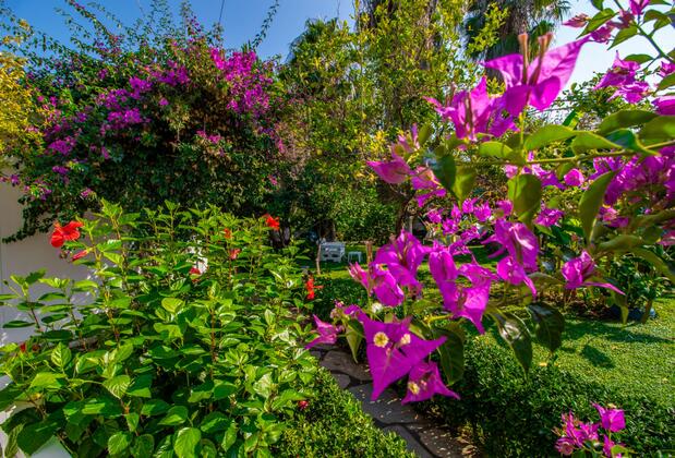 Blue White Hotel - Görsel 6