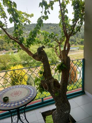 Naturla Göl Evi Urla - Görsel 15