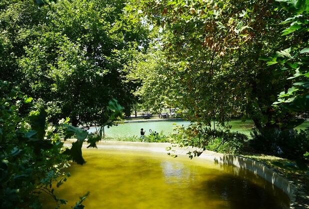 Naturla Göl Evi Urla - Görsel 18