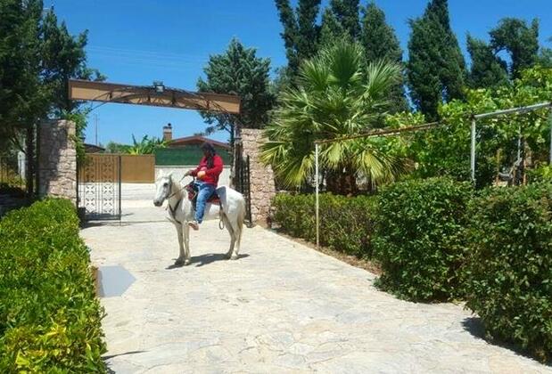 Dream Hotel Ayasaranda - Görsel 20