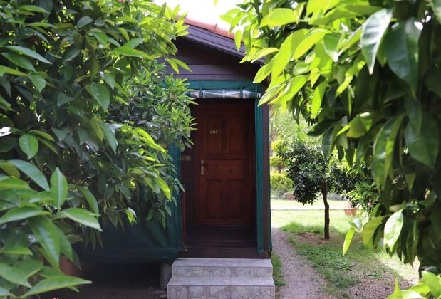 Plaj Otel - Görsel 3