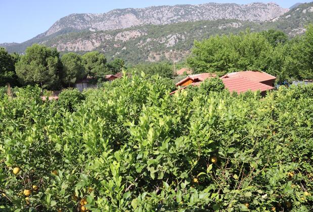 Plaj Otel - Görsel 24