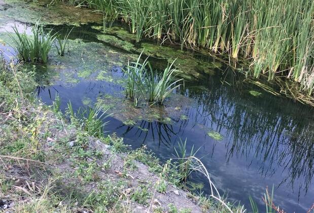 Ada Apart Hotel Göcek - Görsel 4