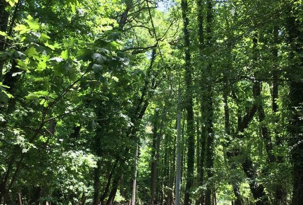 Ada Apart Hotel Göcek - Görsel 3