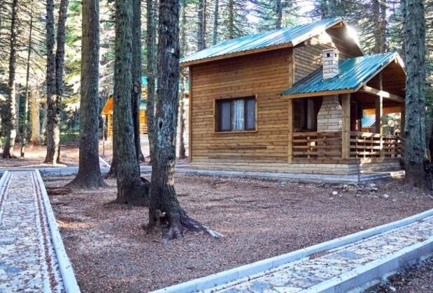 Karinna Çobankaya Ahşap Orman Köşkleri - Görsel 2